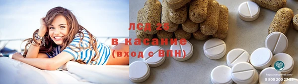ПСИЛОЦИБИНОВЫЕ ГРИБЫ Вяземский