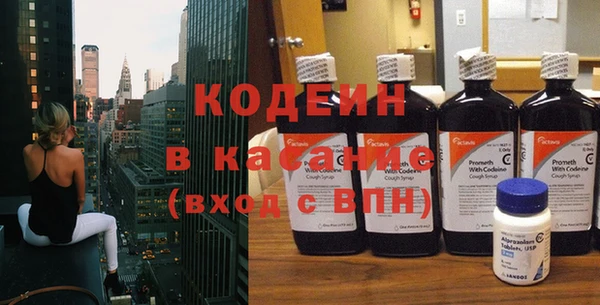 ПСИЛОЦИБИНОВЫЕ ГРИБЫ Вяземский