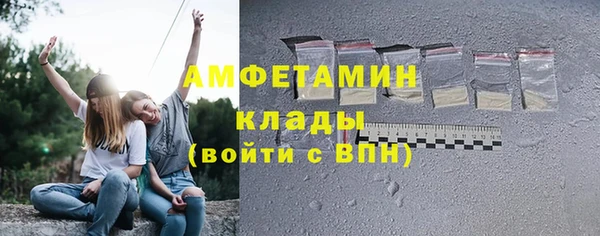 ПСИЛОЦИБИНОВЫЕ ГРИБЫ Вяземский