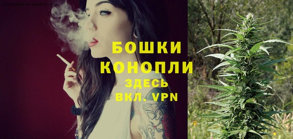ПСИЛОЦИБИНОВЫЕ ГРИБЫ Вяземский