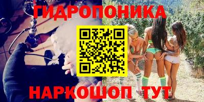 СК Мариинск